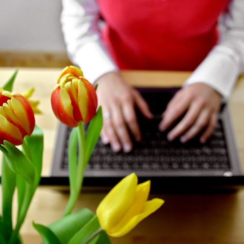 Uebersetzerin_am_Computer Übersetzerin am Computer