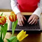 Übersetzerin am Computer